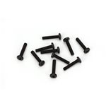 3x16mm BH Screw (10)