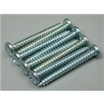Sheet Metal Screws Phillips 4x1" (8)