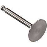 Intake Valve GF40