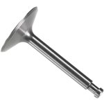 Intake Valve 200 Surpass