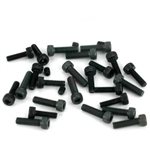 Crankcase Screw Set: VV