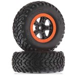 Tire/Wheel Assembled Glued S1 Compound SCT Black