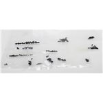 Complete Hardware Set: 1:24 4WD Temper