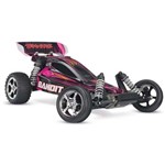 Traxxas 1/10 Bandit Extreme SP Pink