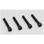 Socket Head Screws 2-56x1/4 (4)