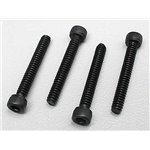 Socket Head Screws 6-32x1 (4)