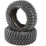 Tire, Creepy Crawler (2): DBXL-E