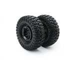 Tire And Wheel Set (Pr.): Sca-1E