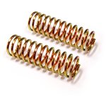 Carisma Gt24b Springs (Firm): Plastic Shocks (Pr.)
