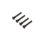 Hinge Pin Screw, Outer (4): Super Baja Rey