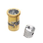 Cylinder/Piston Assembly R21