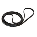 Tail Belt: Fusion 480