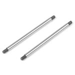 Hinge Pins Outer/Rear (2)