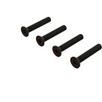 Flat Head Hex Machine Screw M4x24mm (4)