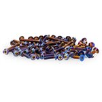 B6.4 Titanium Top Hat Screw Set, Upper, Blue, 70Pc