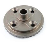 Differential Ring Gear (4