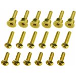 Gold Brake Disk Screw Set PM-MX