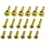 Hot Racing Gold Brake Disk Screw Set PM-MX