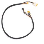 Charge Lead with Balance Extension 24" IC5, 2-6S