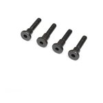 Hinge Screw, Truggy Cage, SCX6 Honcho
