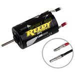 Reedy Sport 400 Motor