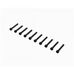 Cap Head Screw M3x22mm (10)
