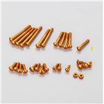 Aluminum Screw Set For Ex-Rr/Ex-2 (Orange)