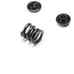 Team Losi Racing Slipper Spring Set: 22X