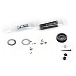 Team Losi Racing Diff Service Kit, Tungsten Balls: 22X