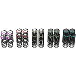 Proline PowerStroke Shock Spring Set: PRO642200