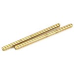 Inner Hinge Pins TiNi LST Aftershock LST XXL 2 (2)