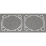 Gasket Back Plate TRX .12
