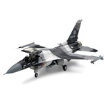 1/48 F-16C/N Plastic Model Airplane Kit "Aggressor/Adversary"