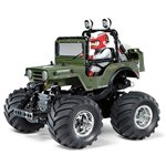 Rc Wild Willy 2000