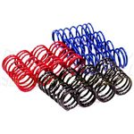Shock Spring Set 1/16 E-Revo/Slash VXL (12)