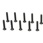 Flathead Screws, M2.5 x 16mm (10)