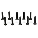 Flathead Screw, M3 x 16mm (10)
